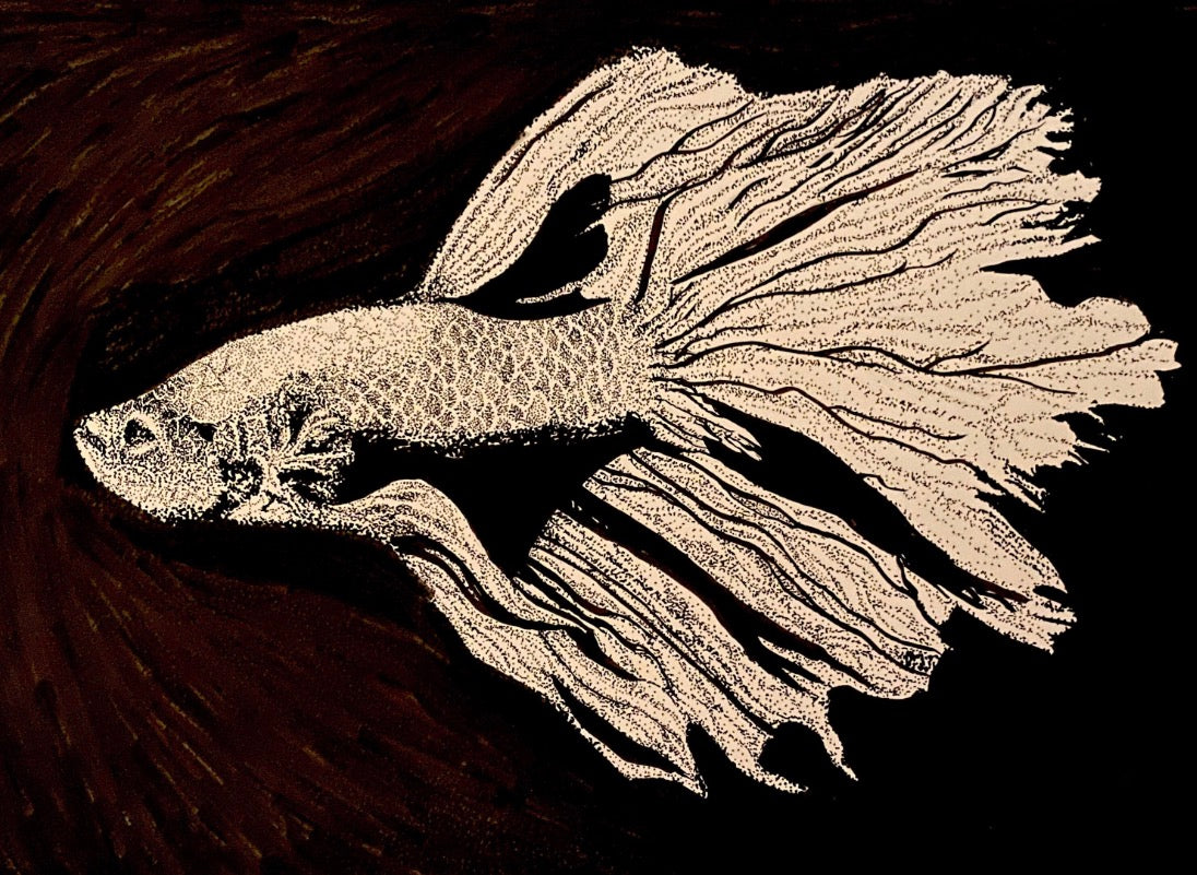 Original Pen and ink Betta Fish drawing